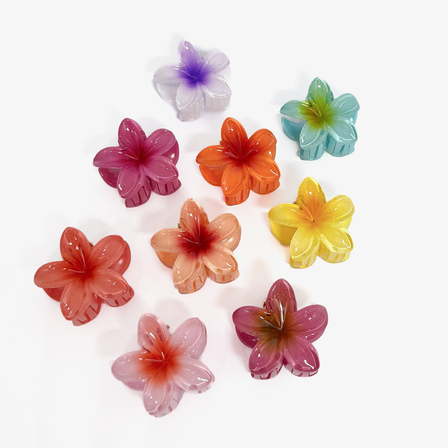 Piranha de Flor Sortida Pequena