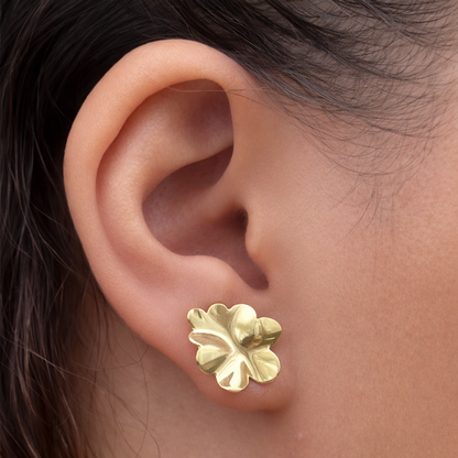 Brinco Aspen Folheado a Ouro 18k