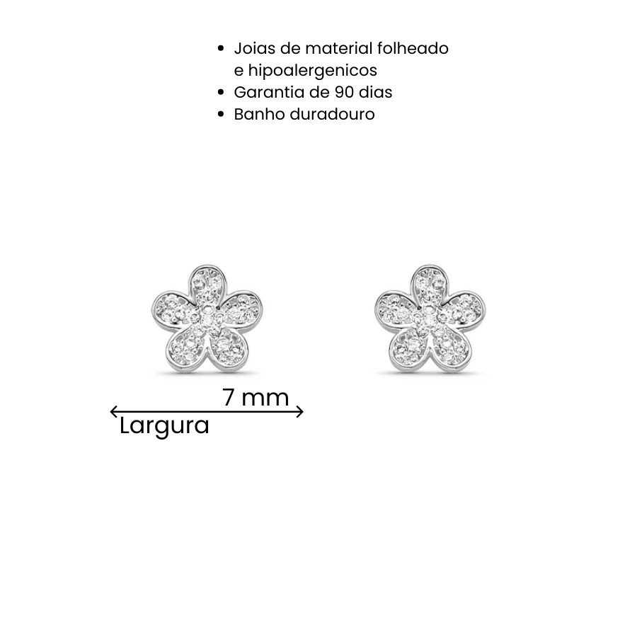 Brinco Mini Flor Cravejada Folheado a Prata