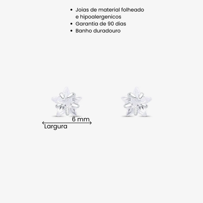 Brinco Estrela Zircônia 6mm Folheado a Prata