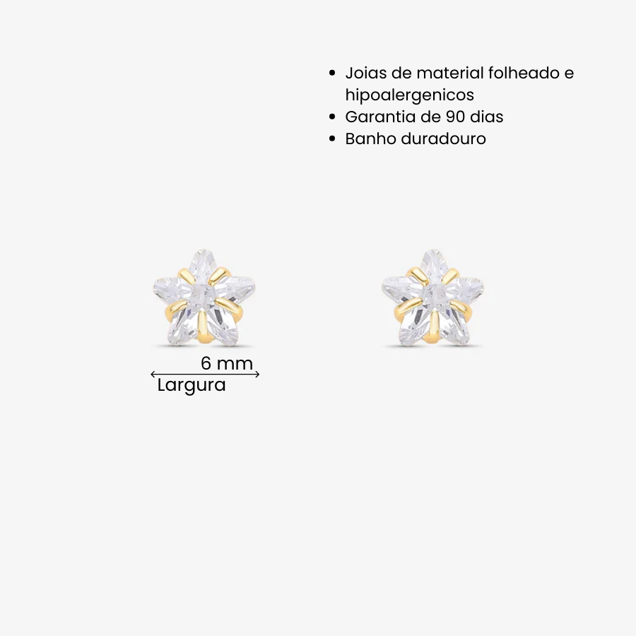Brinco Estrela Zircônia 6mm Folheado a Ouro 18k