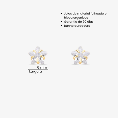 Brinco Estrela Zircônia 6mm Folheado a Ouro 18k