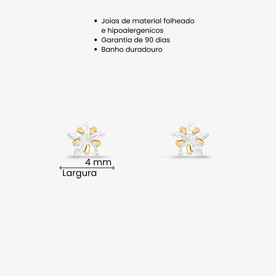 Brinco Zircônia Estrela 4mm Folheado a Ouro 18k