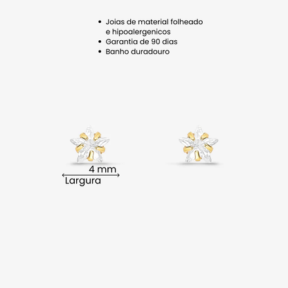 Brinco Zircônia Estrela 4mm Folheado a Ouro 18k